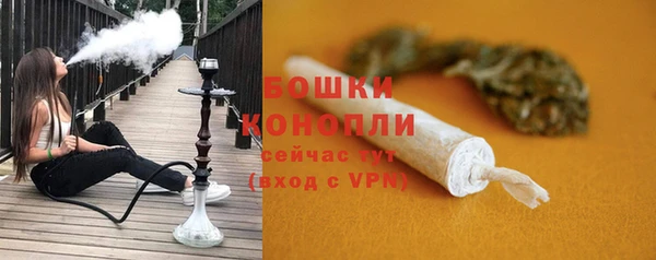 гашик Богородицк