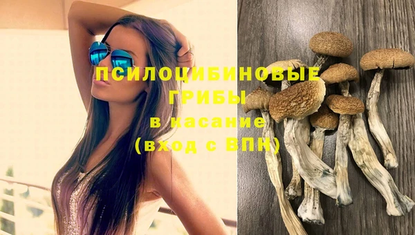 амф Богданович