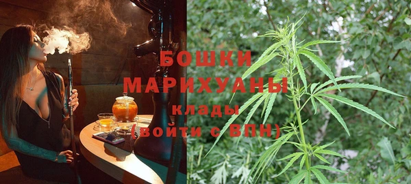 амф Богданович