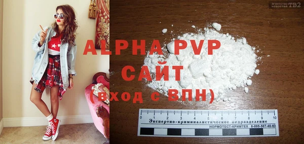 гашик Богородицк