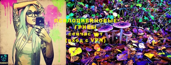 гашик Богородицк